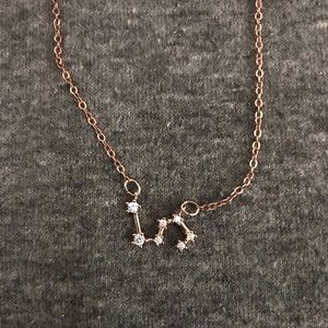 Leo Astrology Necklace